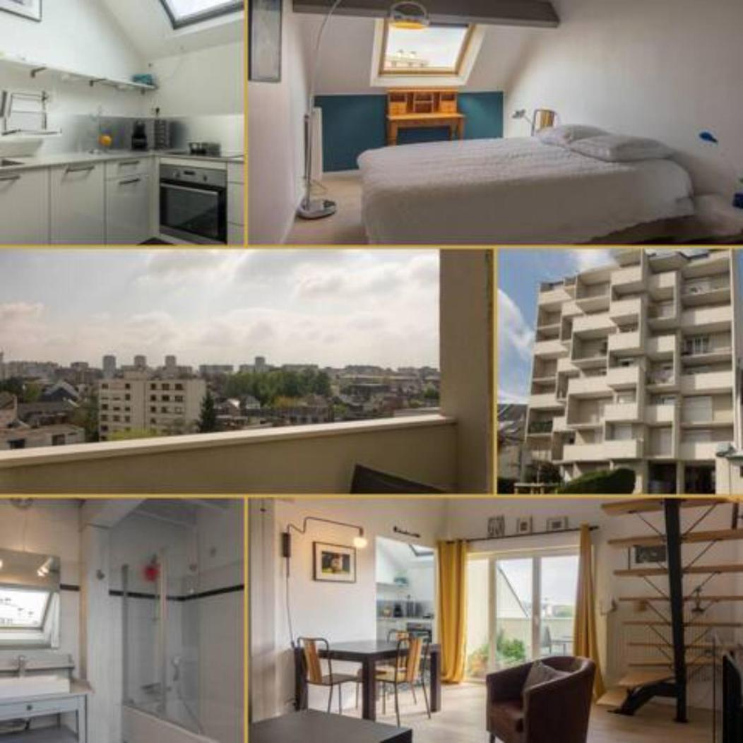 Apartment Le Duplex Ensoleille Du Parc * Parking * Balcon * Orléans